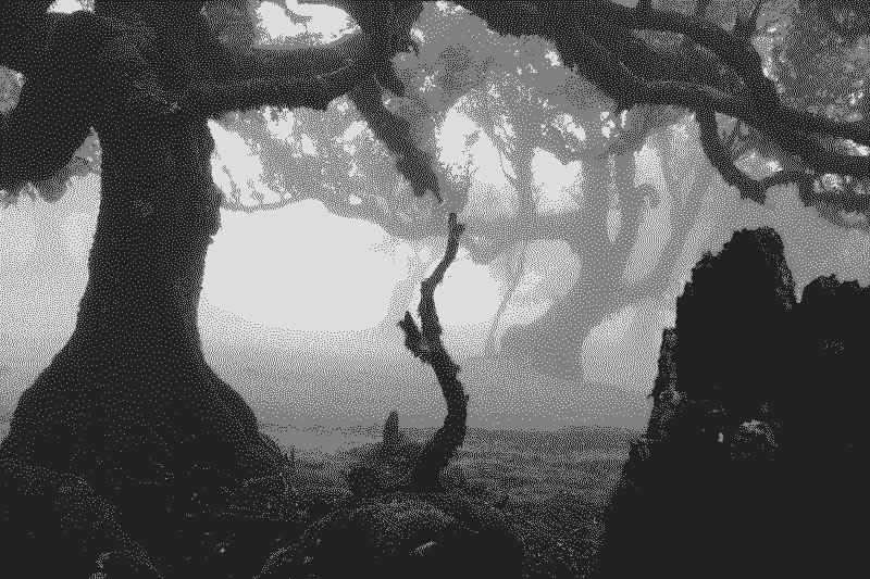 Foto von Ivy auf Unsplash (mit Dithering bearbeitet)